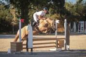 Jument poney sport loisir famille