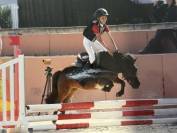 PONETTE SHETLAND