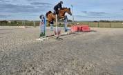 Hongre de 7ans - parfait jeune cavalier - moyens GP