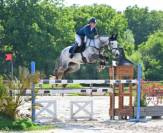 Jument de sport pour CSO et CCE