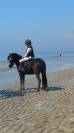 Poney C