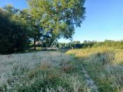 Hippisch vastgoed Koop Landes