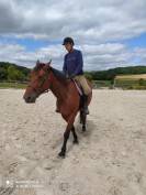 VEND CHEVAL SELLE FRANCAIS POUR BALLADES