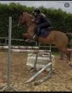 Poney de sport 