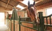 Pension de chevaux
