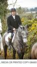 Cheval de sport irlandais à vendre
