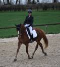 JUMENT DRESSAGE 6 ANS - ALEZAN- ZANGERSHEIDE