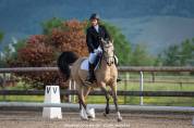 Cheval de loisirs polyvalent