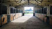Écurie Picardie - PAWELEC STABLES