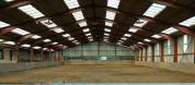 Écurie Picardie - PAWELEC STABLES