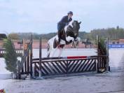 Jument sbs pie sport pleine 