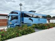 Man 26 400/ Krismar/2012/pop out/203.000km/222.000euros