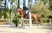 J'Atomik FL Poney D de sport 6 ans