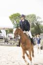 Cheval de sport à vendre 