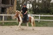 Pension complète poney loisir