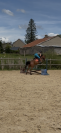 Ponette D CSO 