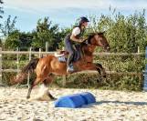 Ponette D CSO 