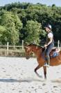 Ponette D CSO 