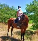 Super cheval de loisir 10 ans