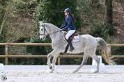 Top cheval pour pré-retraite