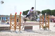 Top cheval pour pré-retraite