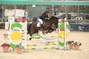 Pony Esperia vendo 