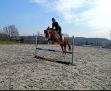 Kupidon Millenium PFS 5ans
