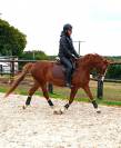 Kupidon Millenium PFS 5ans