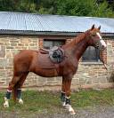 Kupidon Millenium PFS 5ans