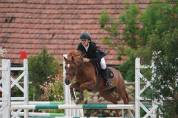Ponette D 7 ans CSO, Dressage et Hunter