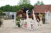 Ponette D 7 ans CSO, Dressage et Hunter
