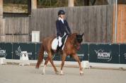 Ponette D 7 ans CSO, Dressage et Hunter
