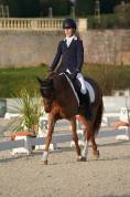 Ponette D 7 ans CSO, Dressage et Hunter
