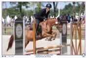 Ponette D 7 ans CSO, Dressage et Hunter