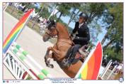 Ponette D 7 ans CSO, Dressage et Hunter