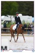 Ponette D 7 ans CSO, Dressage et Hunter