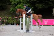 Cheval KWPN de 8ans à vendre
