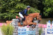 Cheval KWPN de 8ans à vendre