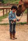 Poney Landais