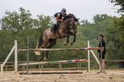 Cheval 5 ans CSO ou CCE