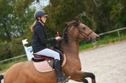 Ponette de sport à vendre 