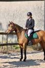 Ponette de sport à vendre 