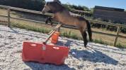 Ponette 5 ans 127cm