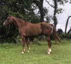 6 ans SFO Sport