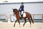 Ponette de dressage 6 ans