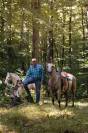 Poulain quarter horse cremello