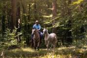 Poulain quarter horse cremello