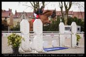 Cheval Selle Français 7 ans