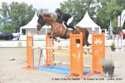 Cheval Selle Français 7 ans