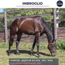 IMBROGLIO -AQPS - 7 ANS